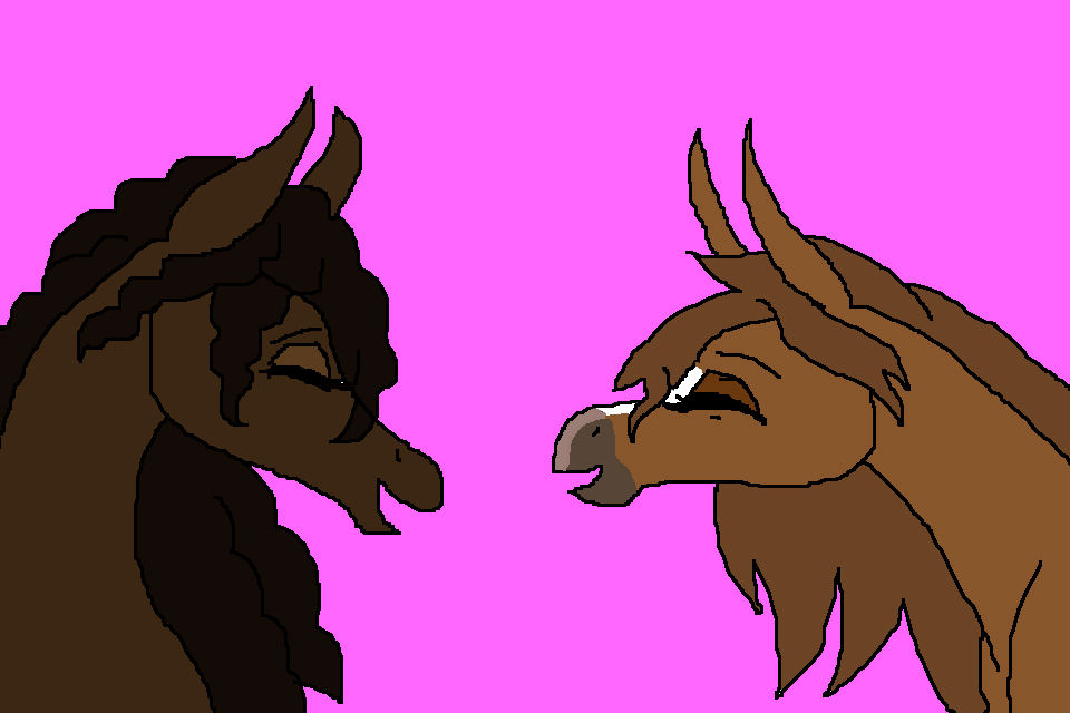 best mare friends
