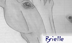 Brielle