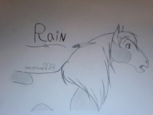 Rain