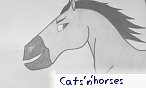 cats'n'horses