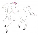Prancing Snowy