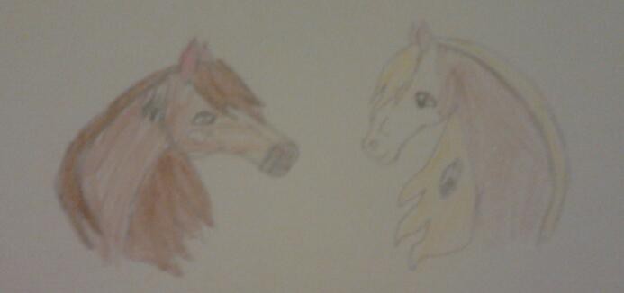 Lakota buddies