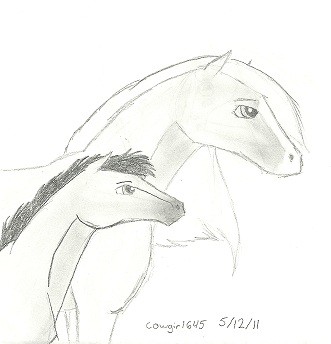 Spirit and Esperenza