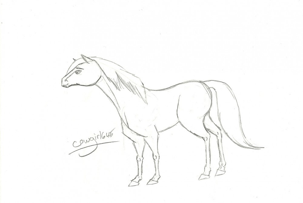 Random horse