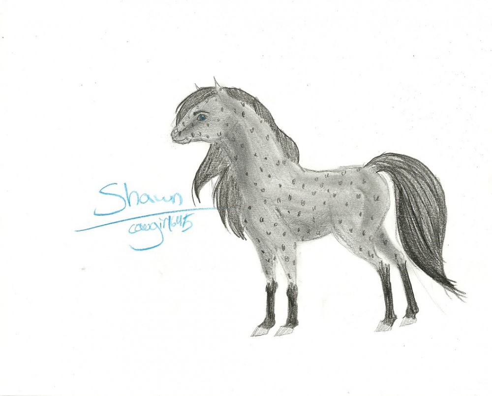 Trust me, this looks better on the paper itself.