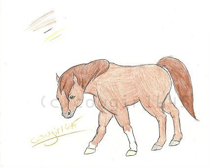 Random little pony