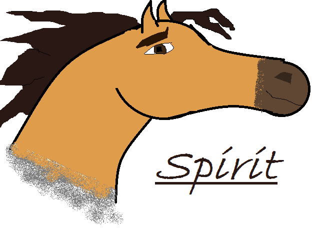 Spirit