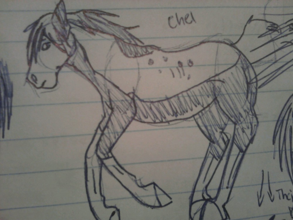 Chel