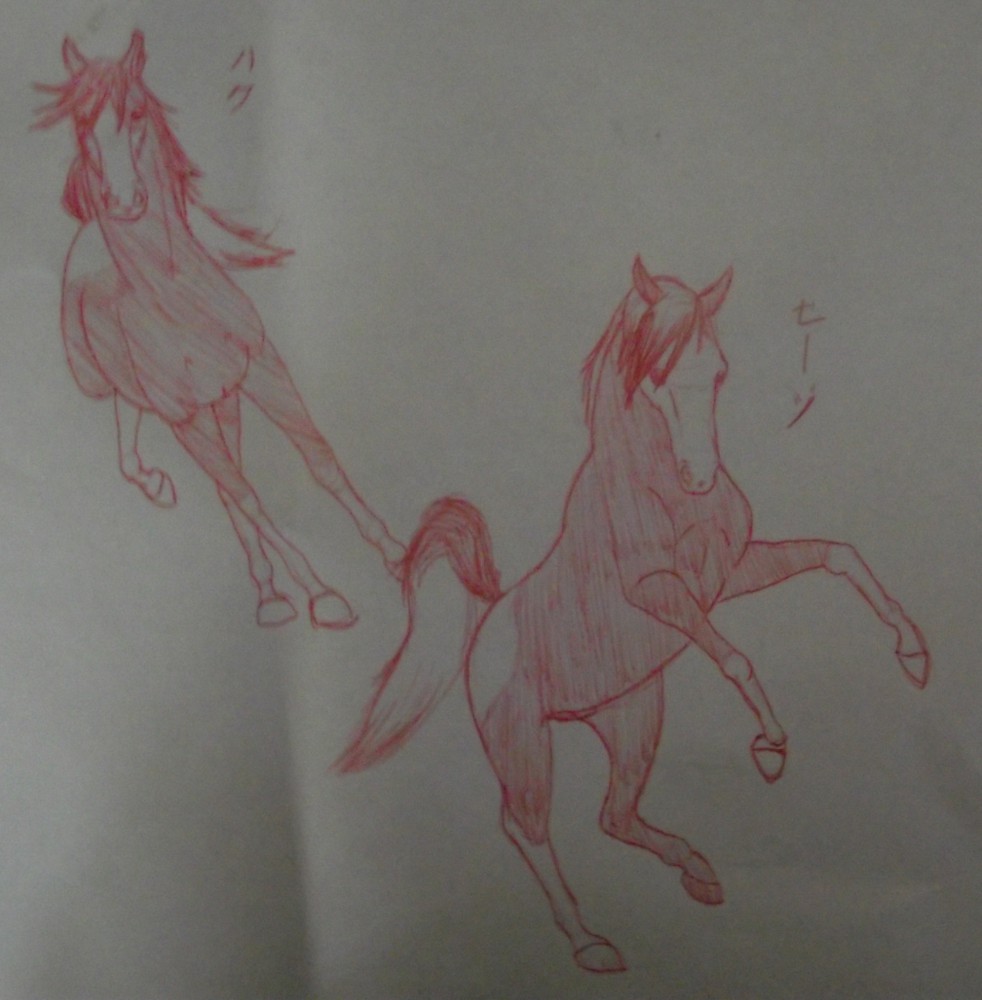 Haku and Sage realism