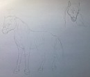 Horsey Doodlums c: