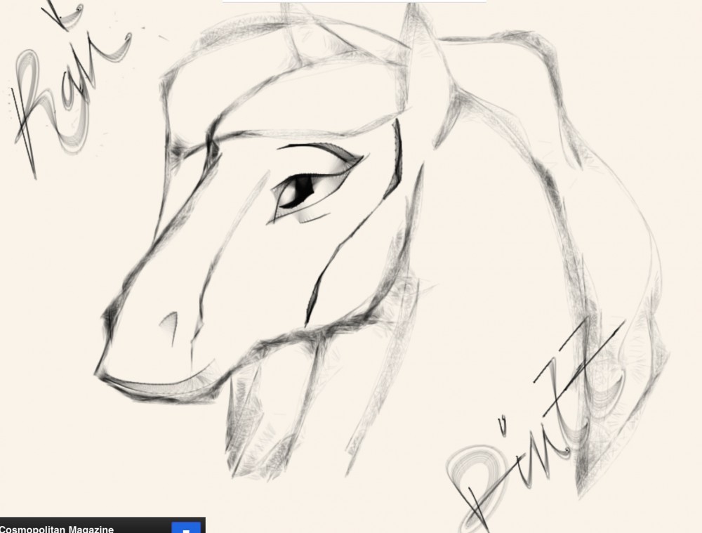 Test Sketch