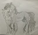 Request: Aleta