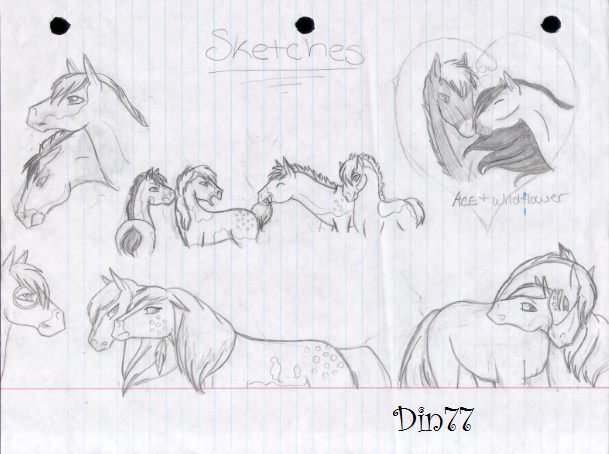 Sketches