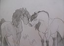 Request- May32
