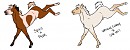 Colt Adoptables