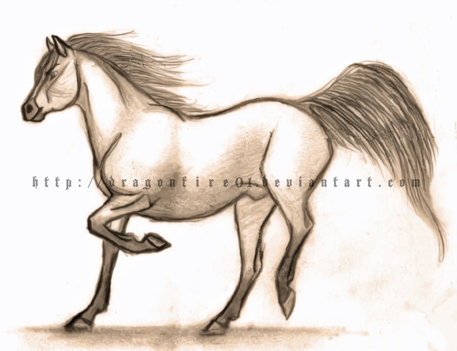 Horse Practice 1: Spirit