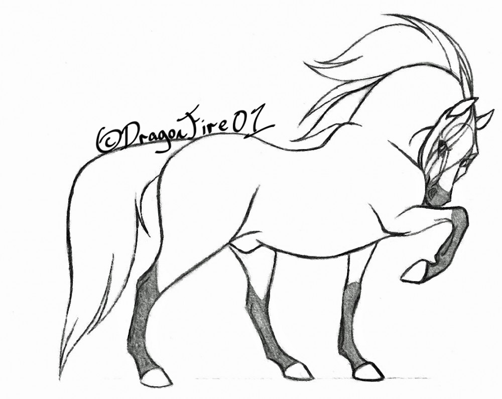 Aidan -Art Trade-