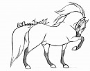 Aidan -Art Trade-