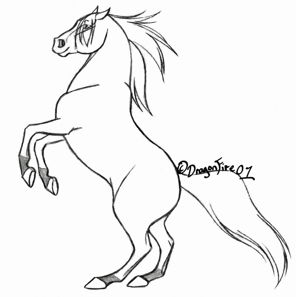 Courtney -Art Trade-