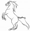 Courtney -Art Trade-