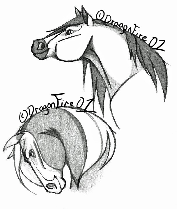 Spirit & Rain Sketch Headshots 