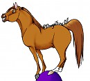 Horsey Fun