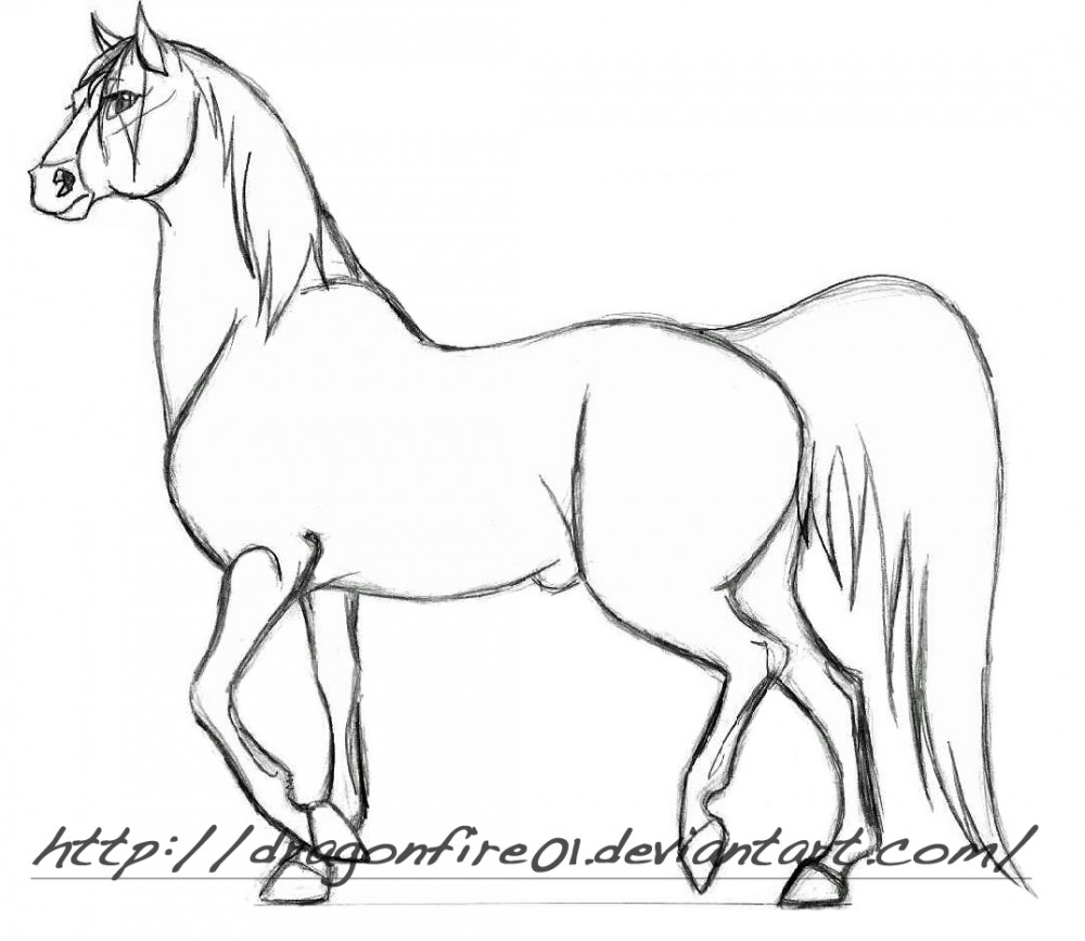 Horse Practice #1