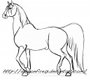 Horse Practice #1