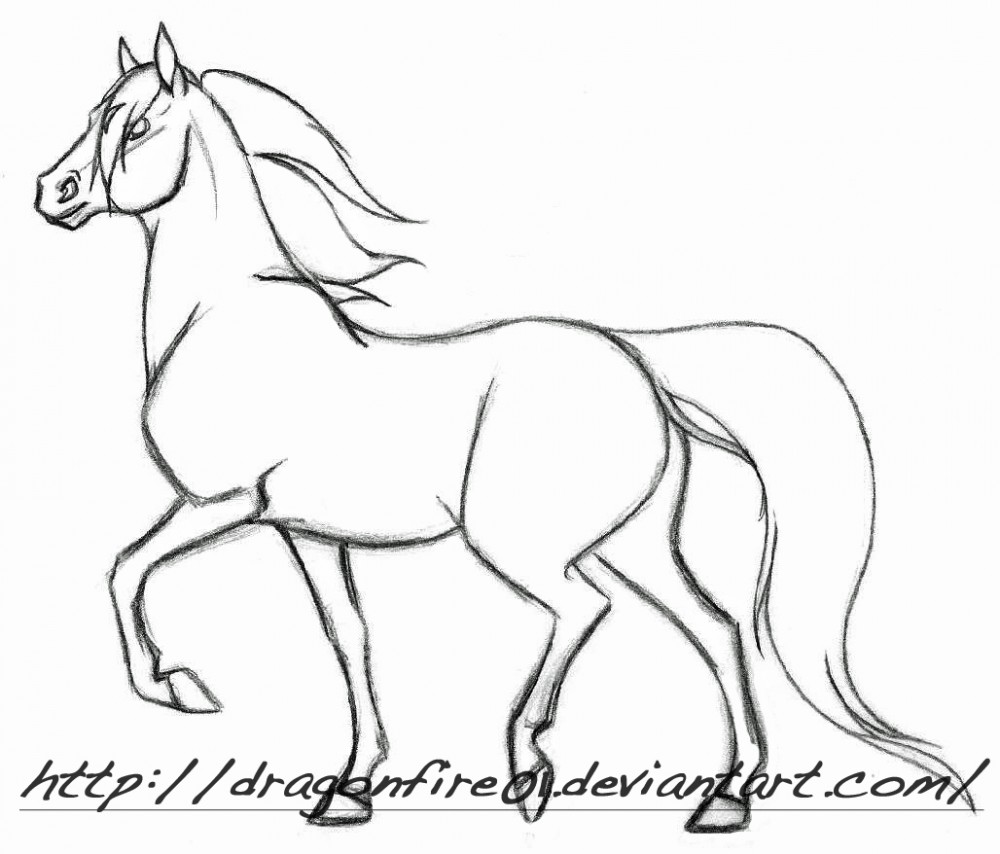 Horse Practice #2