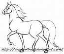 Horse Practice #2