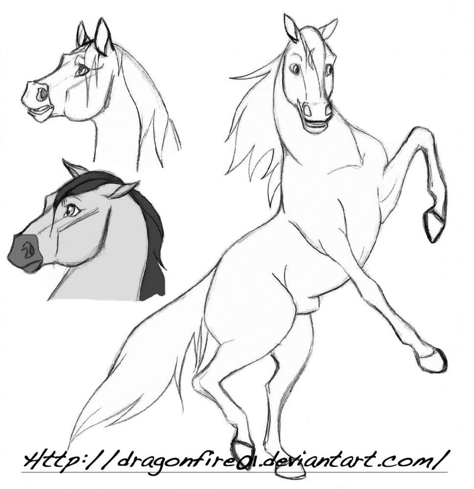 Horse Practice #3