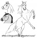 Horse Practice #3