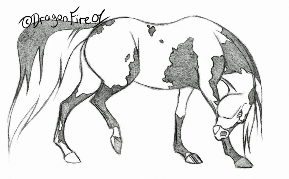 Kanika -Art Trade-