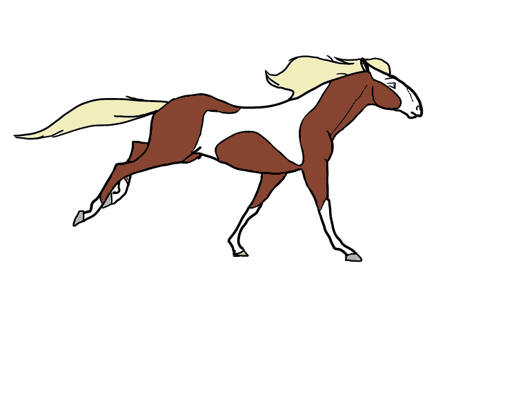 Rain Galloping