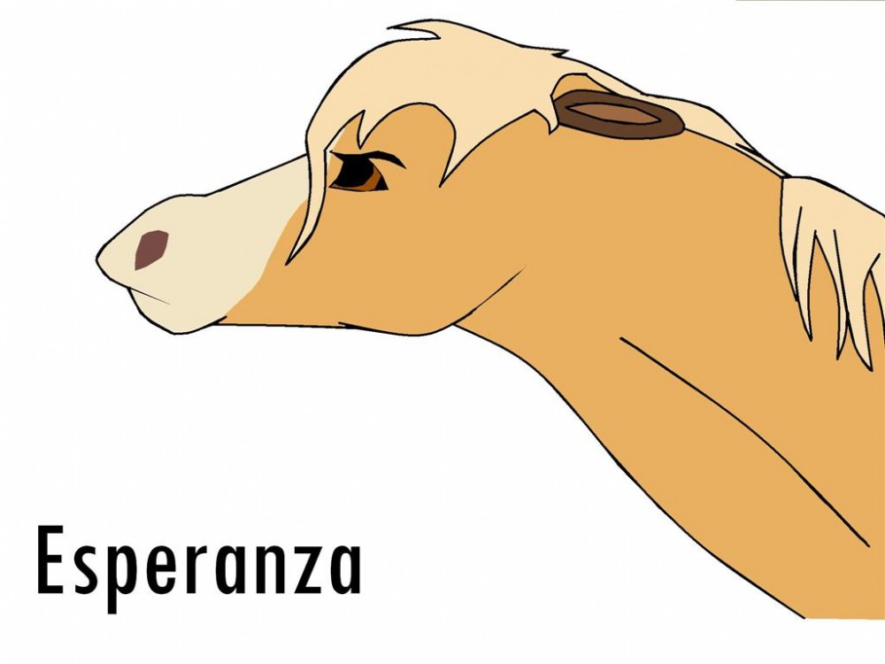 Esperanza (my first drawing)