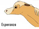 Esperanza (my first drawing)