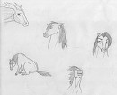 First drawing of Spirit and.....a Rain