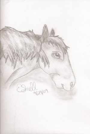 Horse Practice