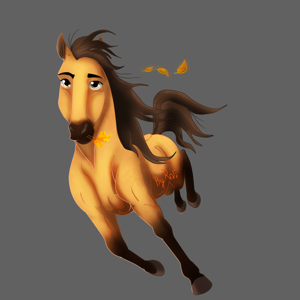 Spirit