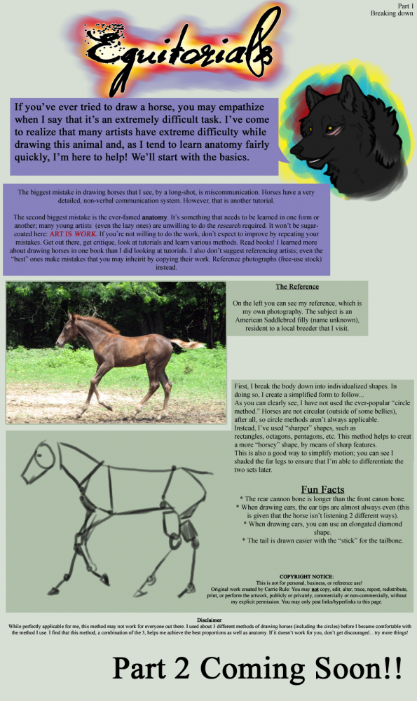Breaking Down Anatomy: Basic Horse Drawing
