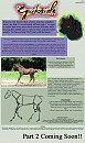 Breaking Down Anatomy: Basic Horse Drawing