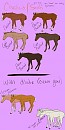 Equitorial Genetics: Sorrels/Chestnut
