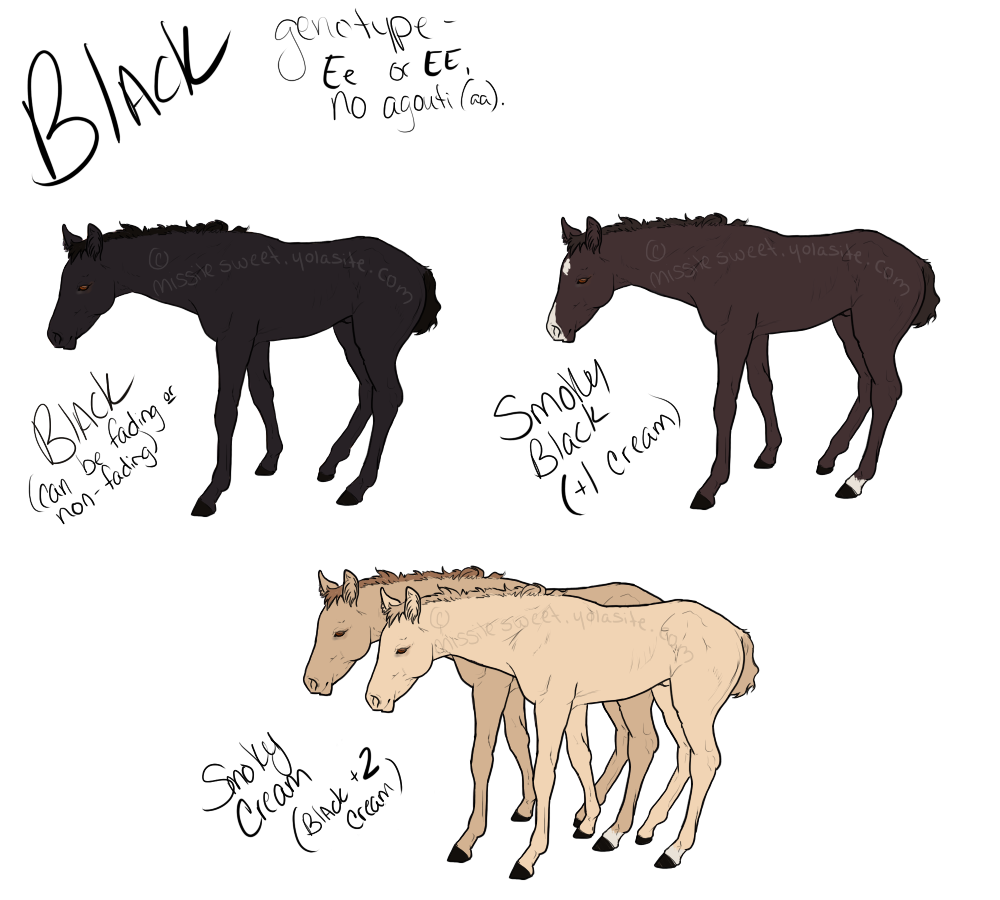 Black & Black dilute