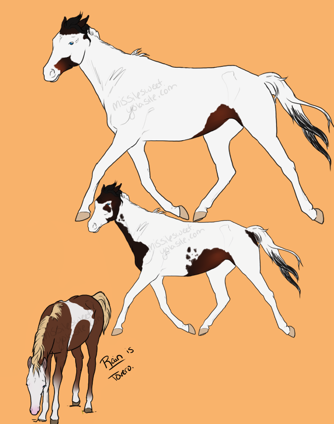 Pinto Patterns: TOVERO