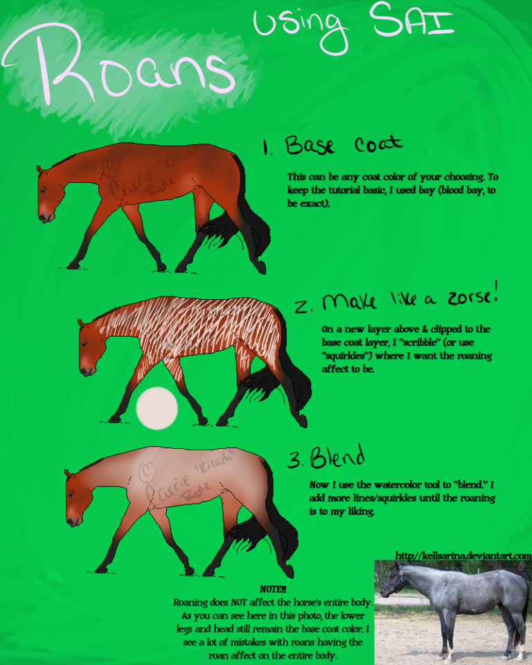 3 Easy Steps: Roans