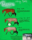 3 Easy Steps: Roans