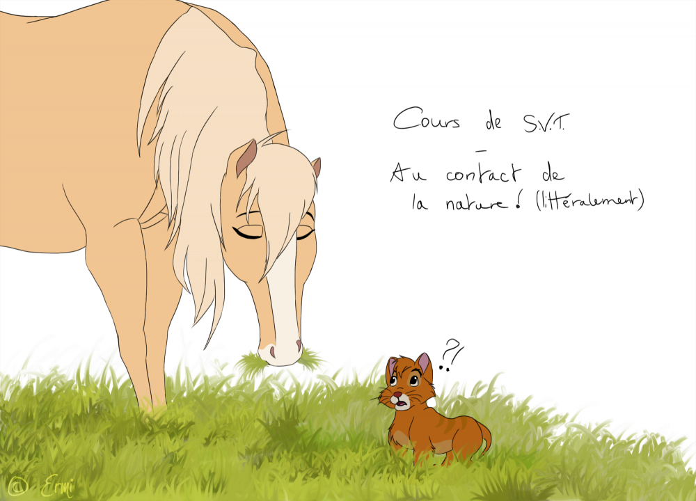 La rentrée avec Esperanza...