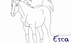 Dúnedain