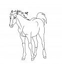 Esperanza Filly
