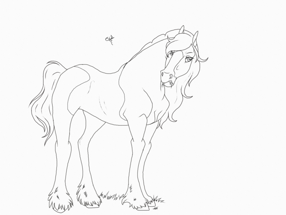Draf Horse mare